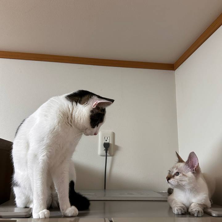 734b6ba3 39e3 4044 b12d 93faafede0b2 1724939063697