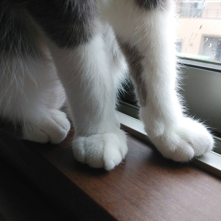 734b7e9b 7664 4ef4 a737 fe5d297c26dc 1587162128950