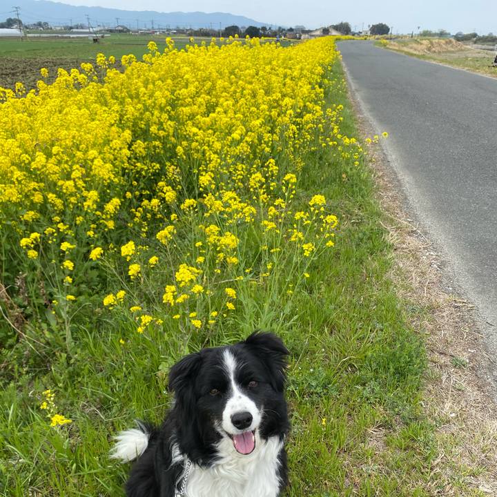 734bb0ba fbe1 469a b2ea 16a8b10c93f5 1647832568147