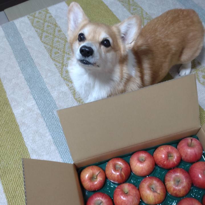 734bc4a6 5032 4b8f 8d83 43b0a31704b6 1702825653252