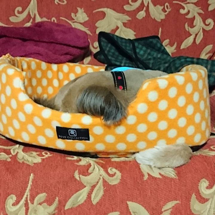 734c323c 6438 4a4a a340 a30d8257d468 1516018966002