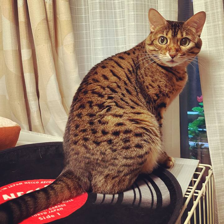 734c92bf 85e9 4b40 9b9d f6323922696d 1636870428112