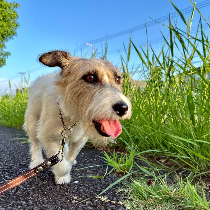 734caaa3 c1d6 49e1 a1e1 733da3a5c452 1723164974449