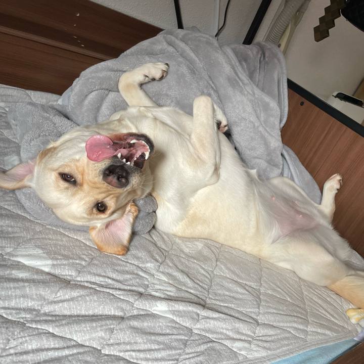 734cb4c5 dac7 49cd bf67 0997559c9a7d 1652668942945