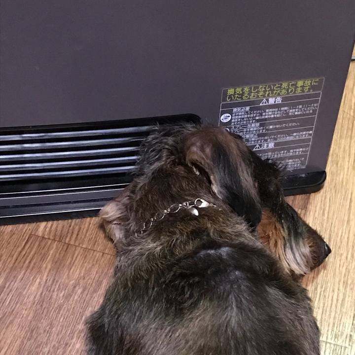 734cb995 720e 4412 90ab 7413bd4e6a3e 1515458098539