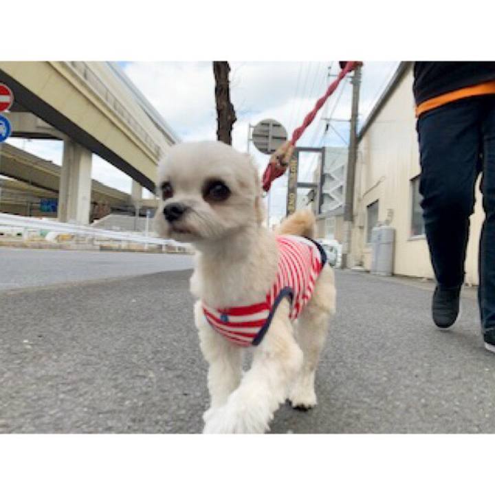 734cf596 89ca 4e47 a72b 1170e949ba5e 1553140172770