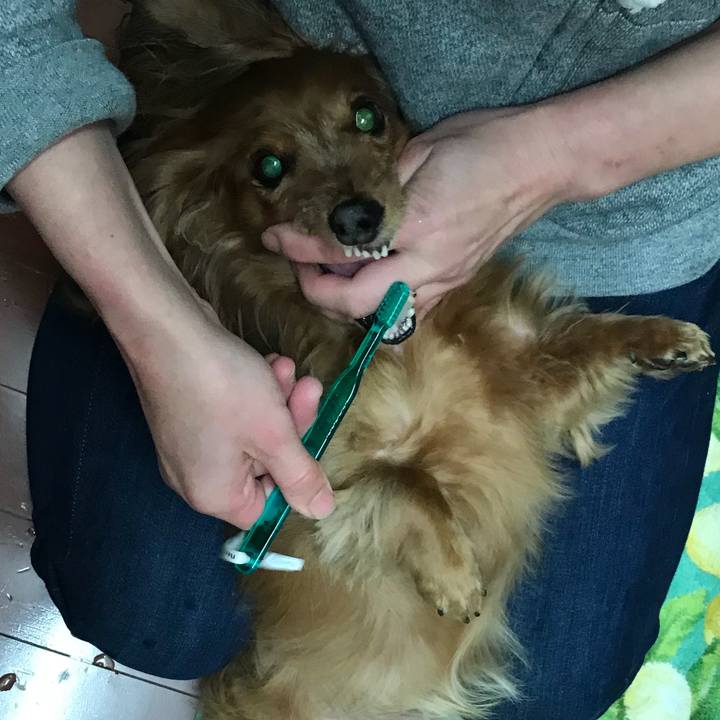 734d0cd9 7f37 44ba 92b0 d1bd1b06987e 1513143470101