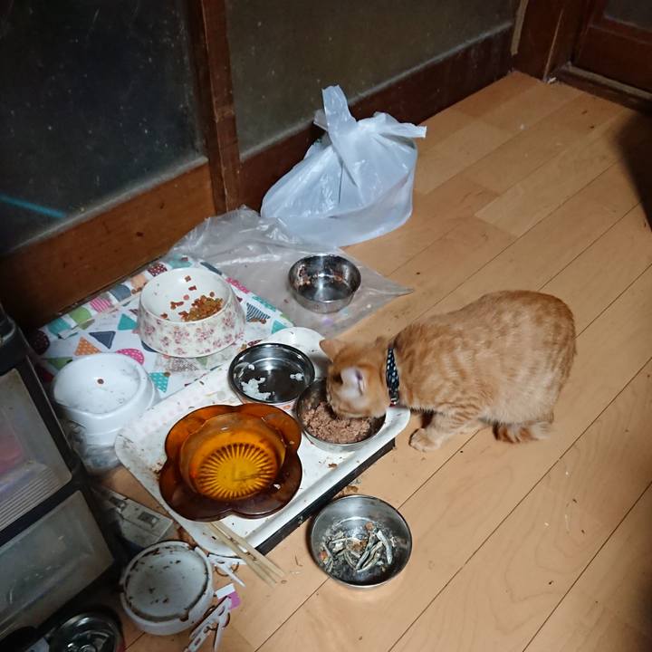 734d0ec7 14da 43c3 b920 11bd82c97c93 1634762439677