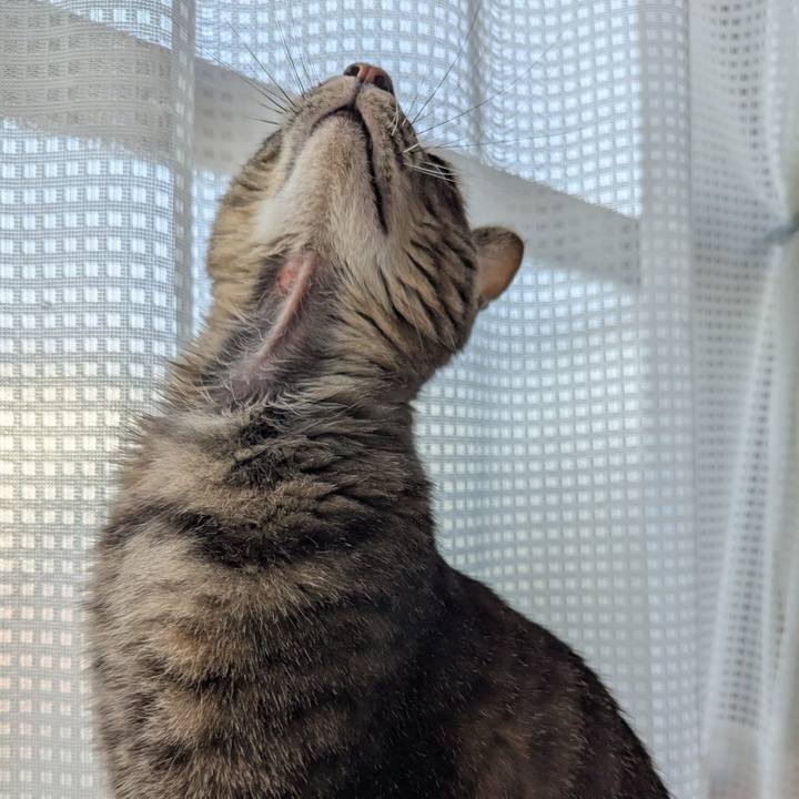 734d3045 cb89 4ab7 ad1b f00bda86c128 1756707404297