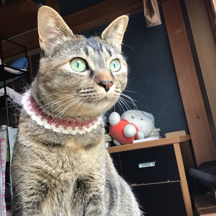 734d3a57 f571 4ea7 99db aec991373ca1 1653986048701