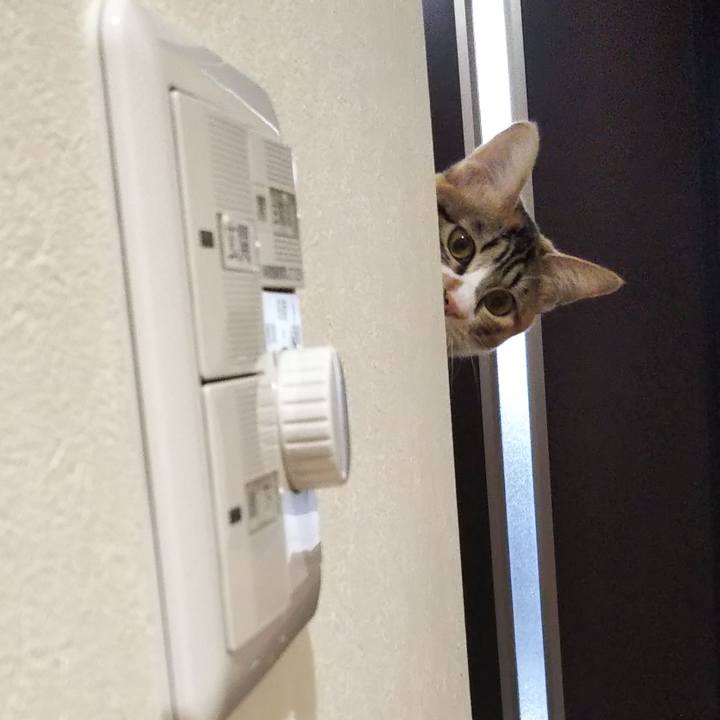 734d9876 90b0 4b46 85f4 b58ea2bf7985 1645437837105