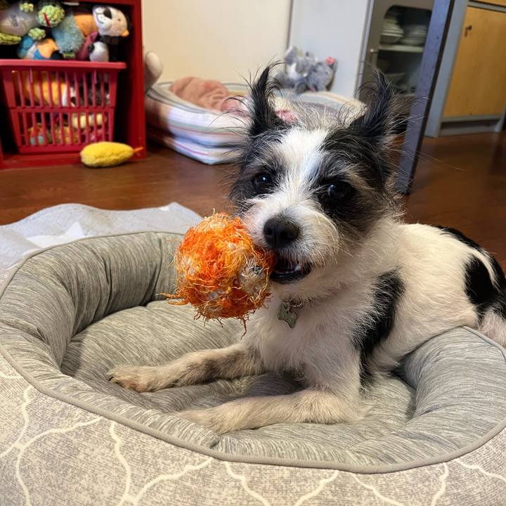 734dc815 490e 4873 8652 0bc28e251e7a 1697338803661