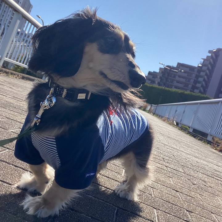 734dfdcf 3515 4959 98b9 ecdd82b9e510 1772944661585