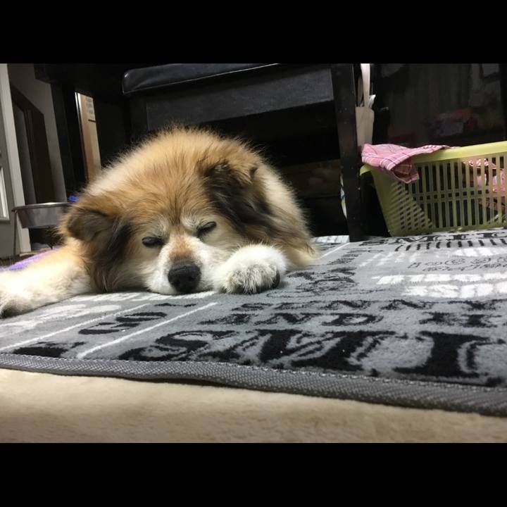 734e0b0e 345d 4b5c 851b 2ff2e42bd352 1562666971507