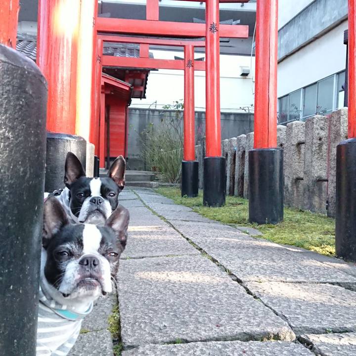 734e3a58 4e10 4233 818f eff3cb3f9f55 1520982766875