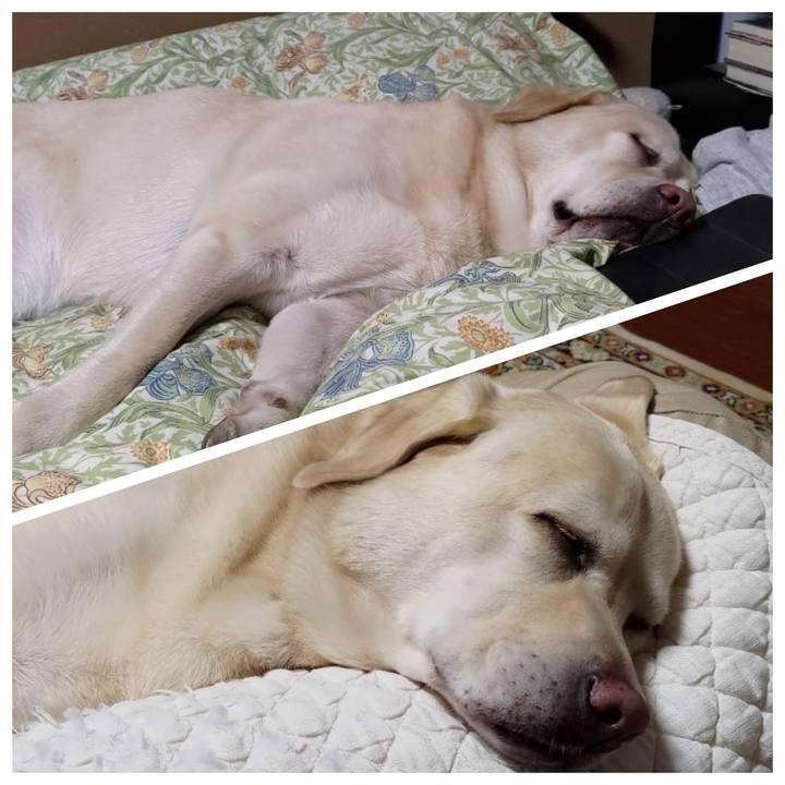 734e4205 9dd0 417d 872e 4129e9036f61 1698151074108