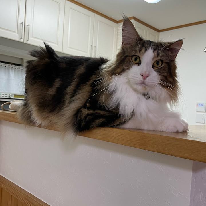 734e49ff 3873 450a b380 47fc6f1985a0 1646251986802