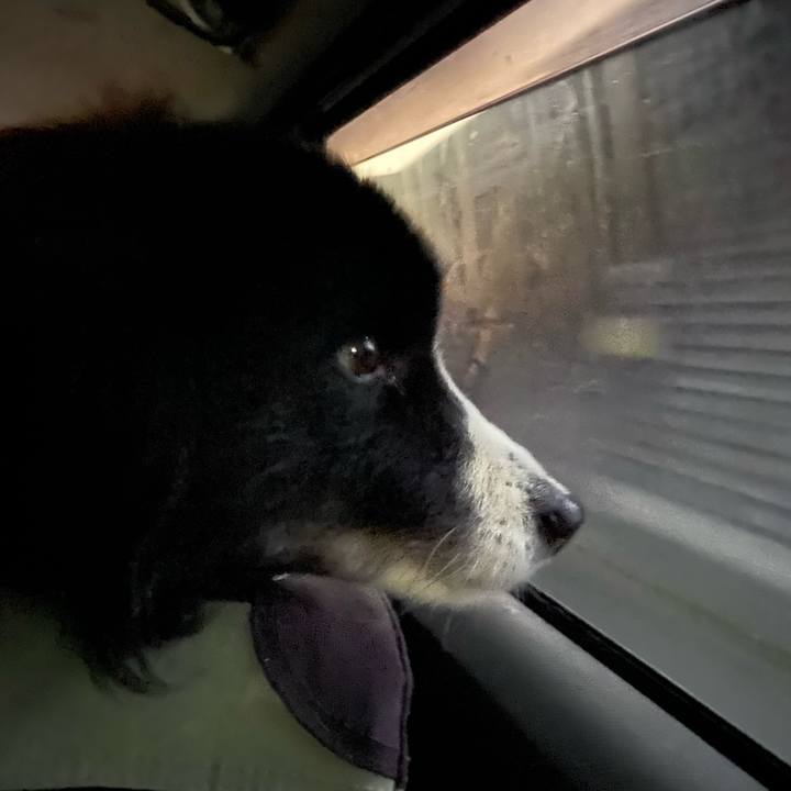 734e4c93 ec81 4d0b 947b aa41aadbbe63 1672783539502