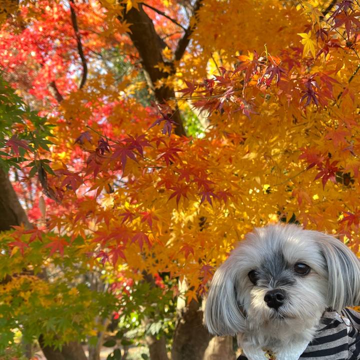 734e81fc d7a9 4f81 b3ab cce2f5a8cac0 1764491652395