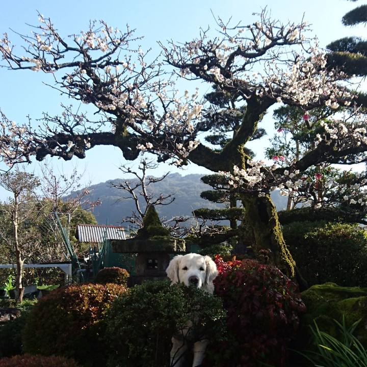 734ed770 0f0e 4e61 b36c e2bded3ef171 1520122430042