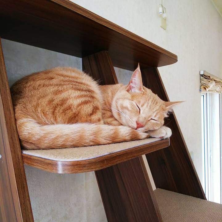 734ee79e 0bf7 447c a74a 363e2d5bd725 1558763881474