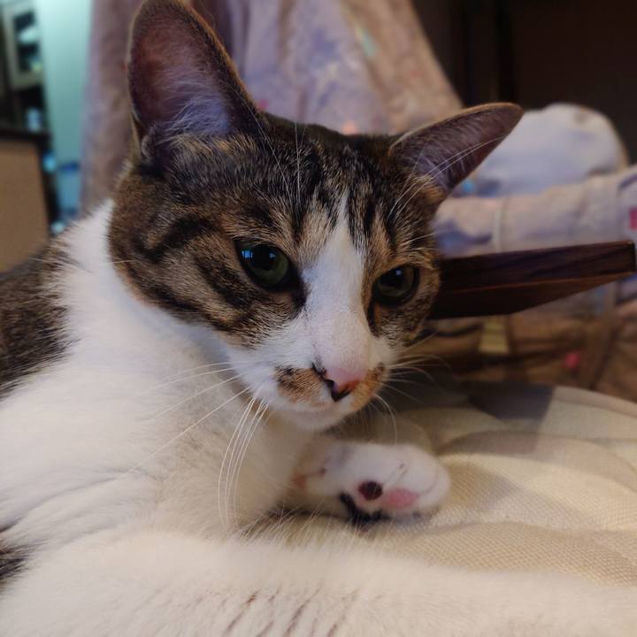 734f02e9 67f7 4244 ac9f cb55d14c1455 1593685208779