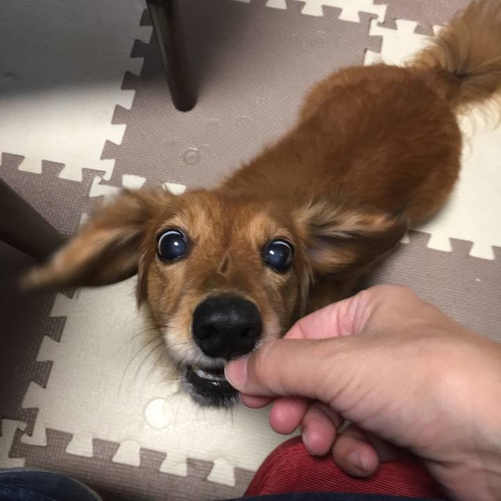 734f238e 4a4a 4e22 a477 15ae1c1bfc84 1540383355542