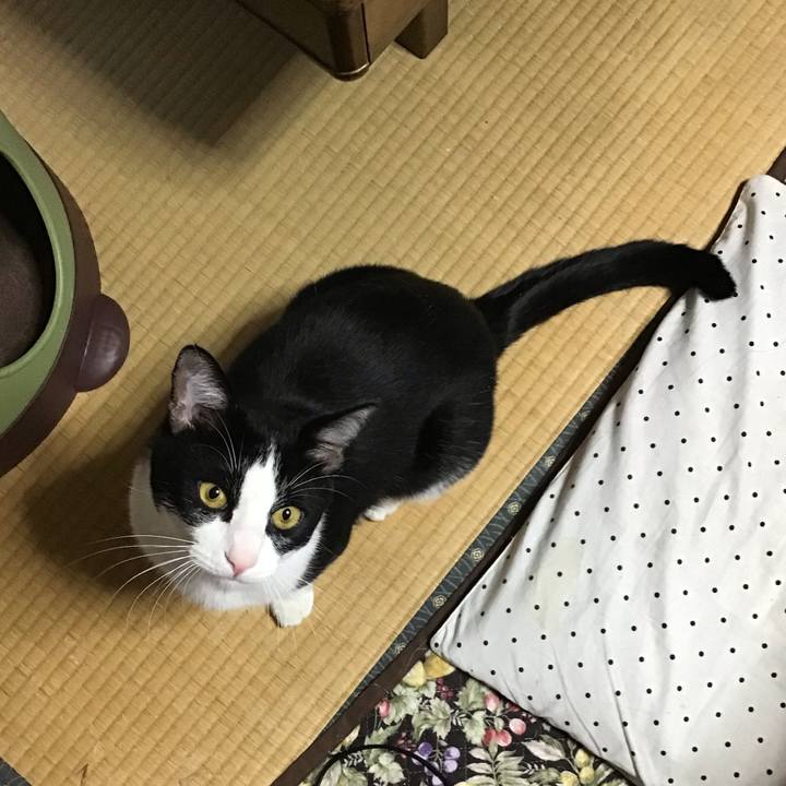 734f3c2e 9f8a 49dc 9cdf 73b8982040f0 1655529408867