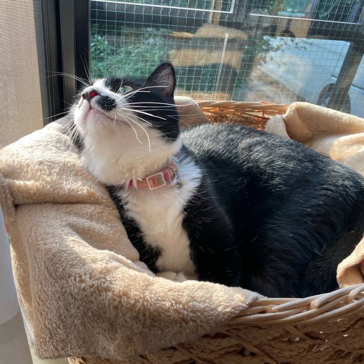 734f535a a689 46cc afb0 689f6fb15a39 1664230025092