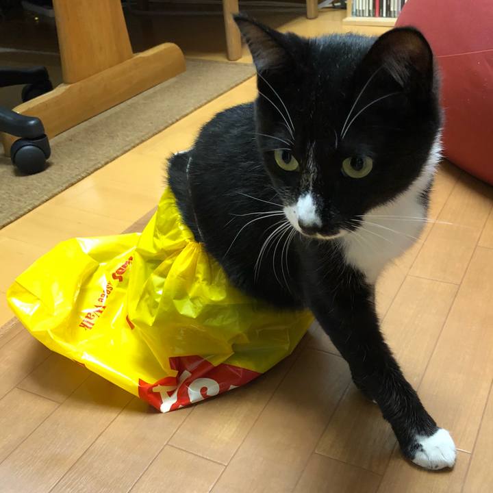 734f8327 8c9a 4ab0 93f5 6d8640e41249 1529639347698