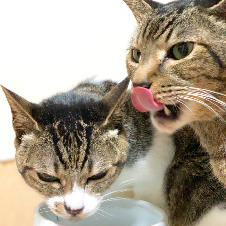 734fc179 eedb 415d a2f6 f32e29faf903 1582936772800