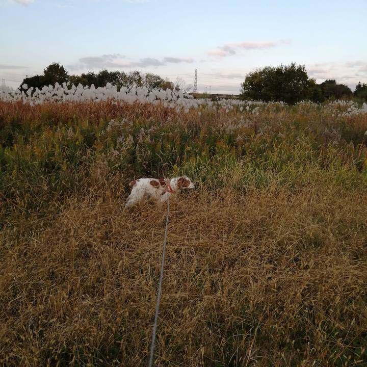 734fcce0 929f 43c7 9a3f e20dd56a59f5 1606522891860