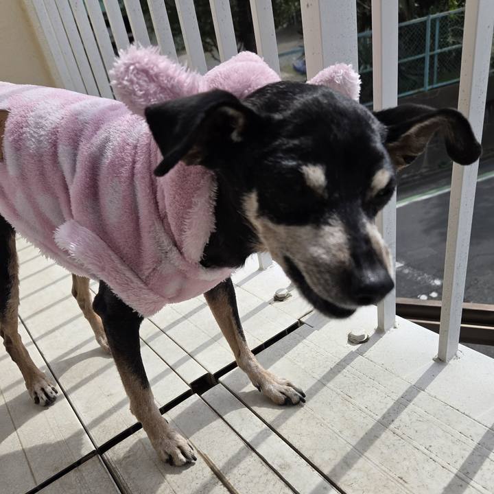 73502b76 4a41 4f9a a0f2 920bdaf8a409 1774153240917