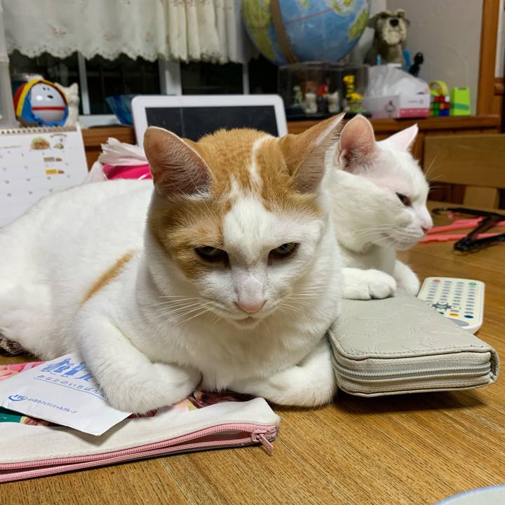 735042fa 6edf 4e75 ab14 a2dac6ef3baa 1567573965379