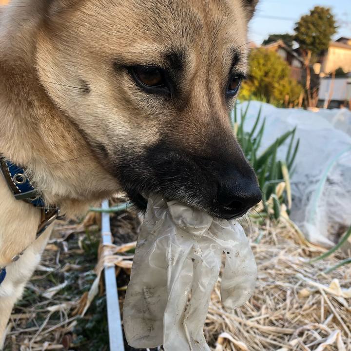 7350854a 983f 4151 897f 66c6bff04c72 1519391483929