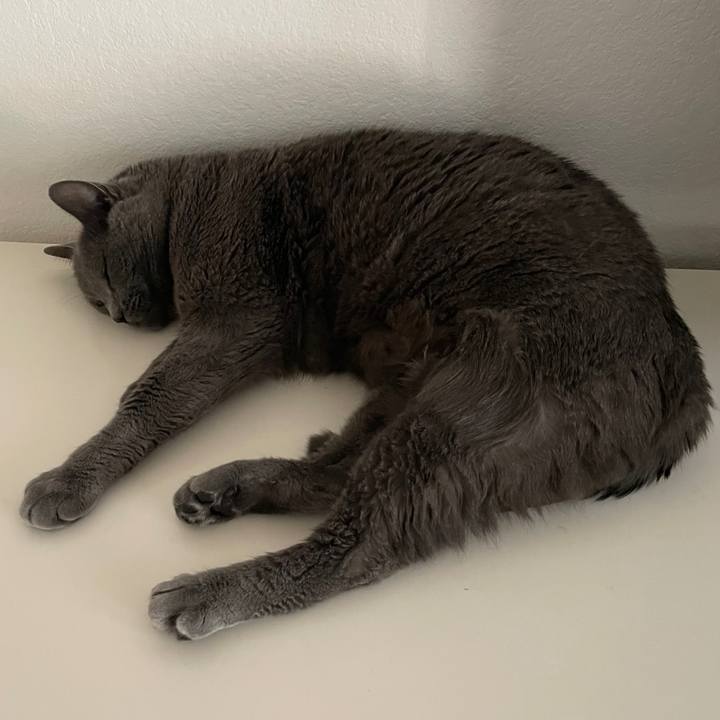 73508895 072f 4477 a5ef d6afa0ae4511 1733020404023