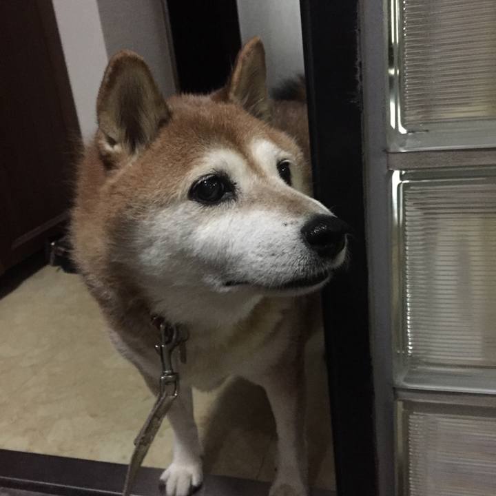 73509279 a551 40f6 a59f 29a152f10b08 1536578771423