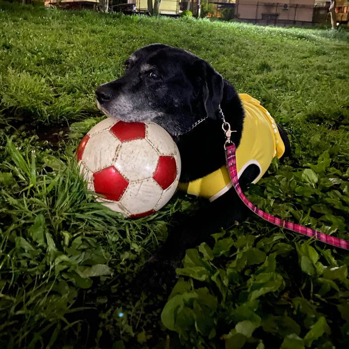 7350d97d 4a9e 4512 8a40 191e7753243e 1650974445837