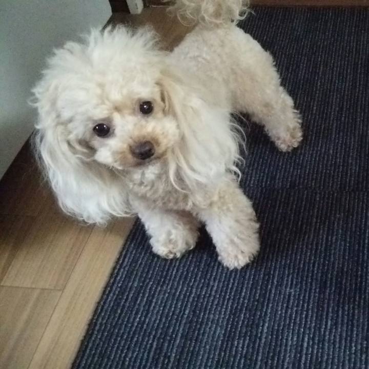 735118b9 ebb7 44c4 9c15 baf59f22865a 1532649266151