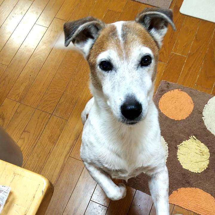 73512e50 013e 4b65 b6ac af58c7e20e25 1551305959261