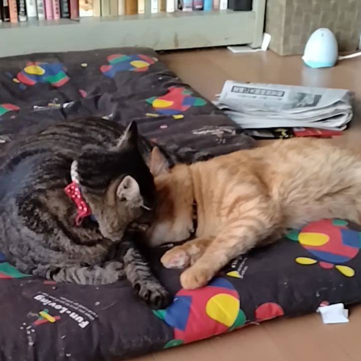 73514b69 b22d 40fe bddb 5d73f0b5084e 1663538426727