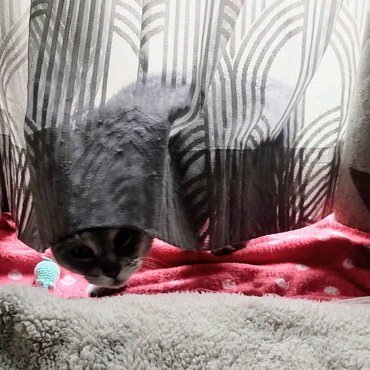 73516966 3bf1 46eb 8ed1 db1b8d4d4f41 1679626555212