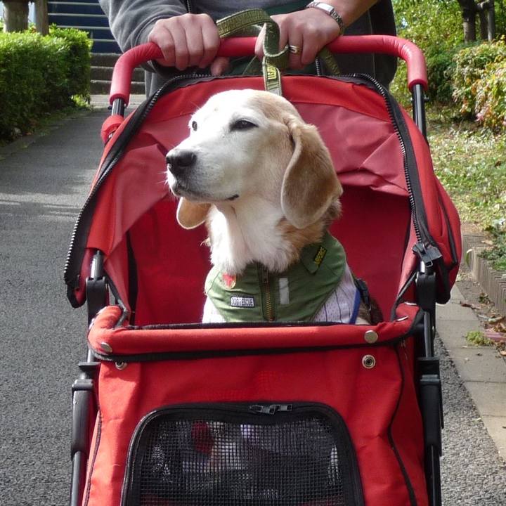 735172f3 30b8 4aef bb13 fa510551d55a 1730506892366