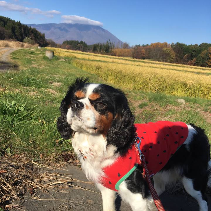 73519380 5530 45e6 9325 0cd158709e3e 1510019027448