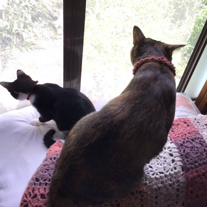 7351ed6d 7d9b 452b 8e3a 85be4ec29a3e 1630987307690