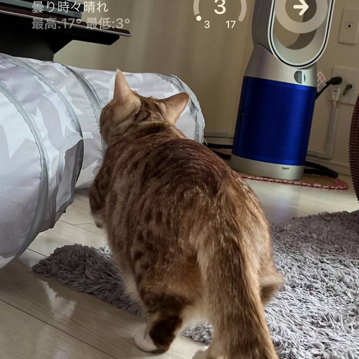 735206ea e139 4549 b652 e9c640040a9d 1677622432249