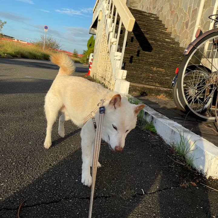 7352776f 5d59 41ef 92b9 854106e67001 1633989099359