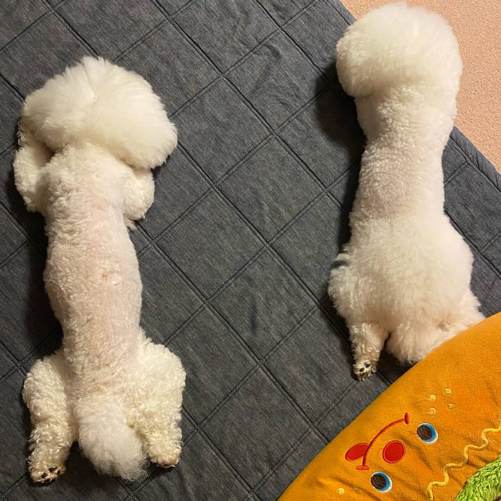 73527efc 06a2 47de a815 b17e74c3d331 1649855586184