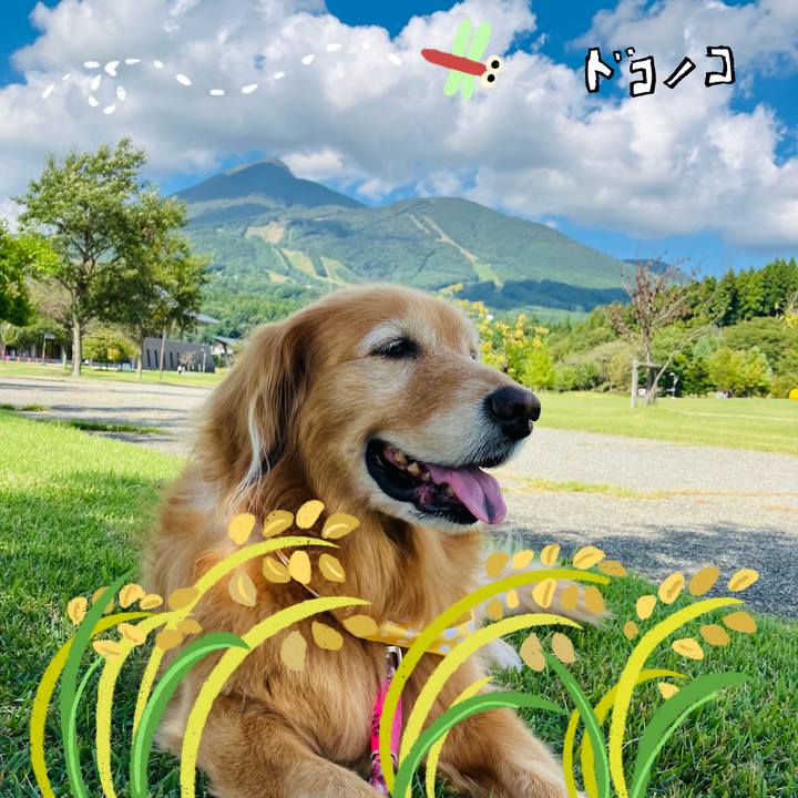 73529ddc d1b2 4505 bbe9 09a82f56295f 1761539887368