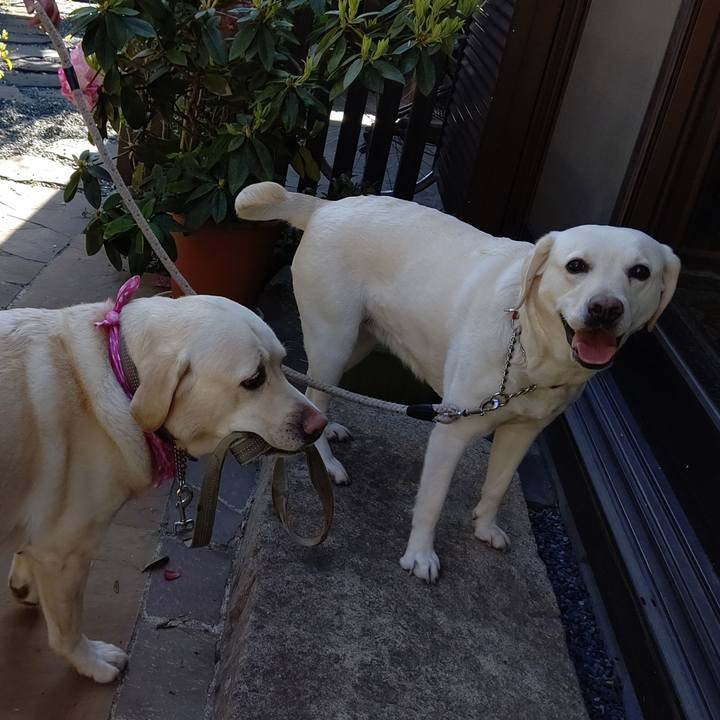 7352a7b4 7e07 48a7 8a66 4cf261d16282 1586847189170